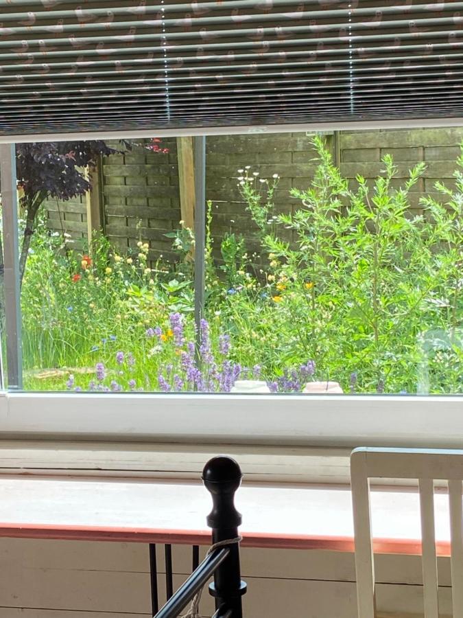 Privatunterkunft Gartenzimmer Zwischen Den Meeren Ladelund