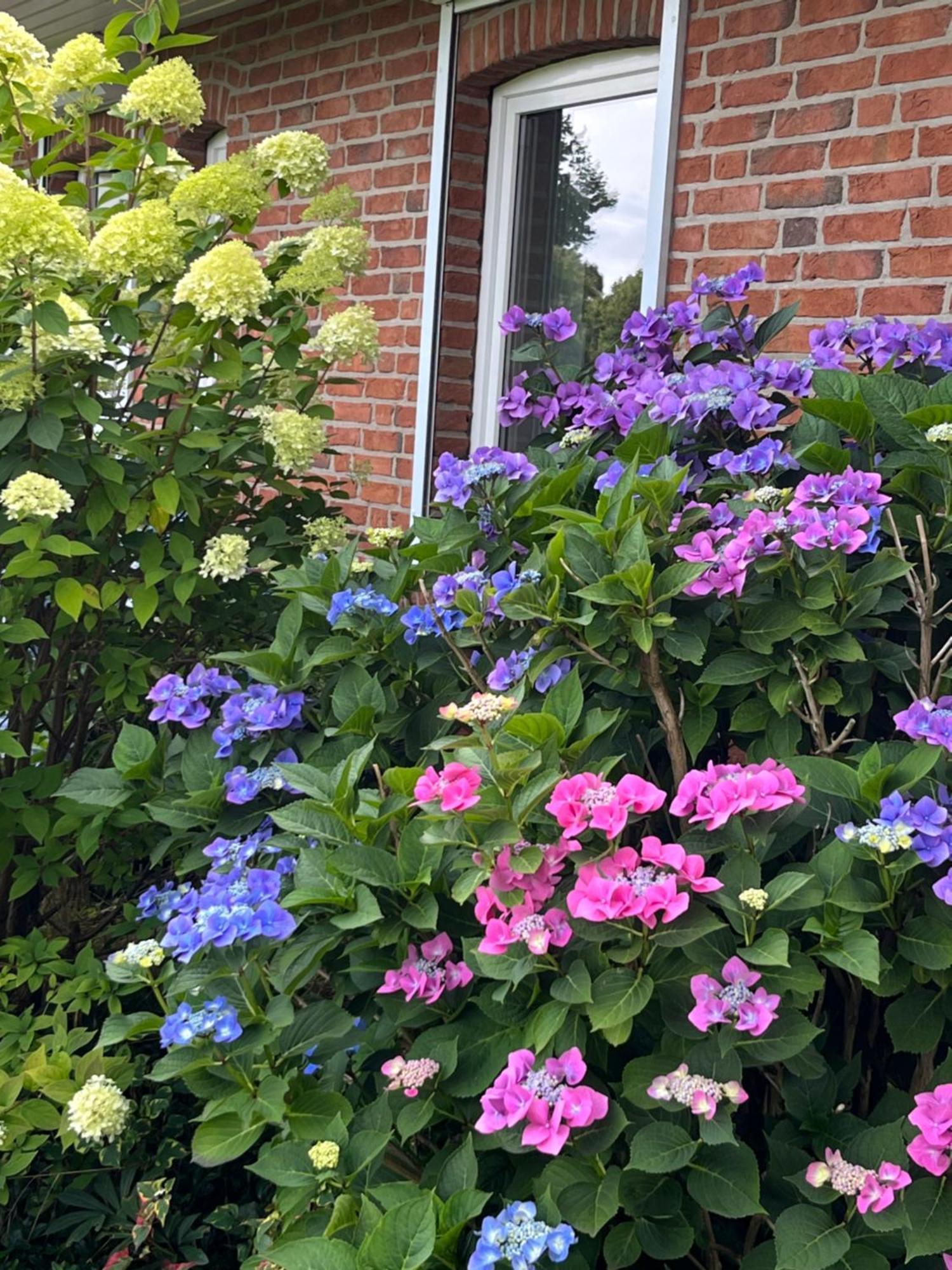 Privatunterkunft Gartenzimmer Zwischen Den Meeren *